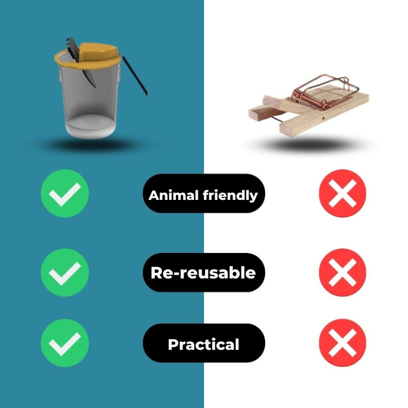 Piège à rongeurs sans cruauté