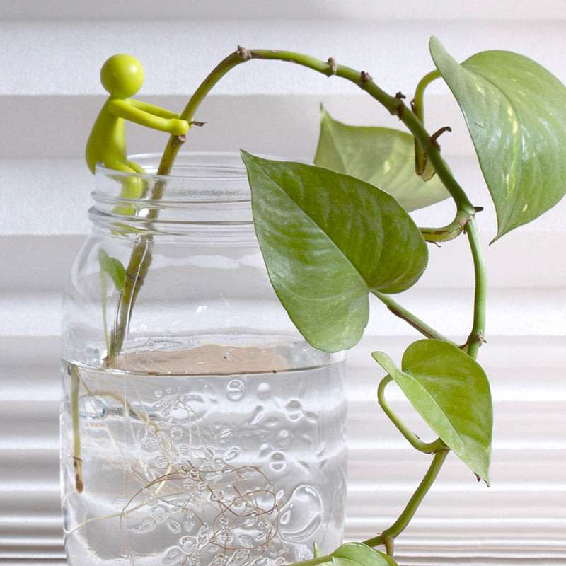 Dekorativní a flexibilní střihací podpěra pro rostliny (x3)