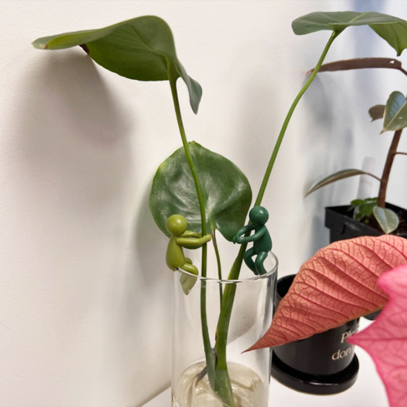 Dekorativní a flexibilní střihací podpěra pro rostliny (x3)