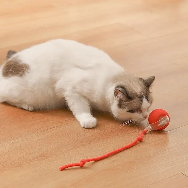 Hyppivä lelu aktiivisille ja uteliaille kissoille 