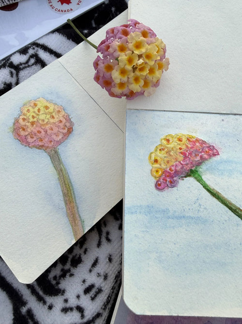 Kit d'Aquarelle — photo d'un client 2